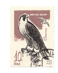 A vintage postage stamp from Russia isolated on a white background.