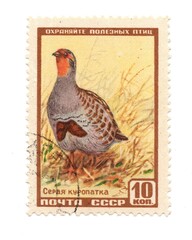 A vintage postage stamp from Russia isolated on a white background.