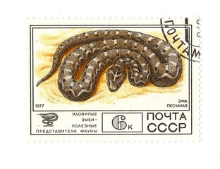 A vintage postage stamp from Russia isolated on a white background.