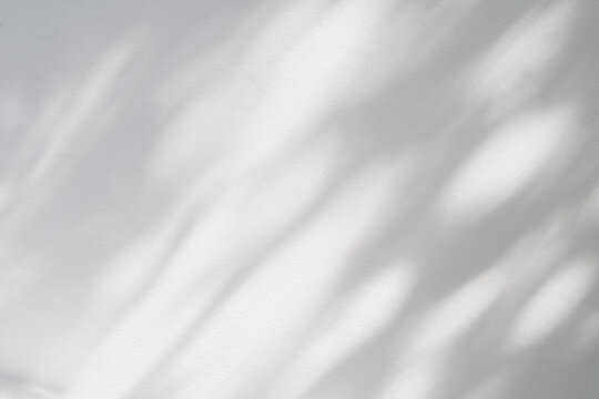 Light and shadow of leaf abstract grey background. Natural shadows and sunshine diagonal refraction on white concrete wall texture. Shadow overlay effect for foliage mockup, banner graphic layout