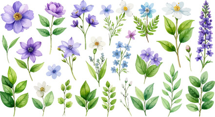 Hand-painted lavender florals and foliage. Wildflower and herb watercolor arrangement. Watercolor herbal lavender and leaves clipart. Spring botanical collection in soft tone. Romantic lavender flower