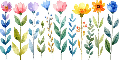 Cheerful floral clipart on white background. Rainbow flower watercolor botanical set. Watercolor wild garden flowers clip art. Colorful flower and greenery. Watercolor field flowers in bright colors