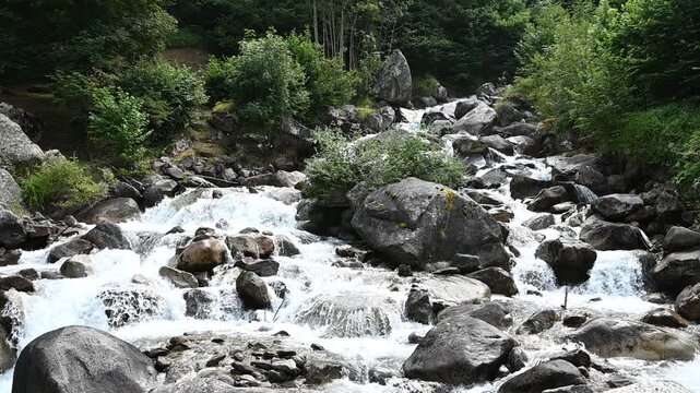 waterfall in the forest