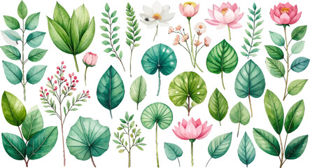 Watercolor floral elements with green leaves. Hand-drawn flower clipart in soft colors. Wildflowers and leaves watercolor collection. Watercolor botanical set. Cute floral and foliage watercolor pack