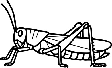 Fototapeta premium Grasshopper outline icon vector 