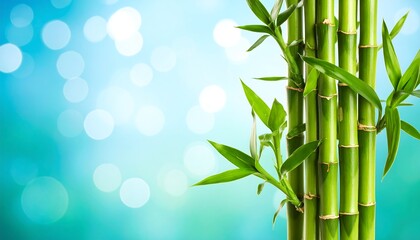 Fresh green bamboo stalks against a light blue bokeh background