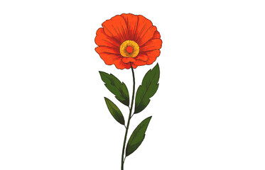 Vibrant Orange Flower with Green Leaves, Botanical Illustration