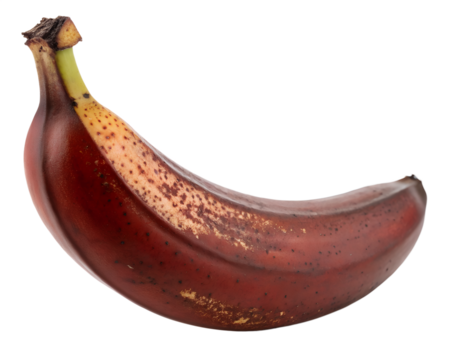 A single red banana with a dark stem isolated on a black background view
