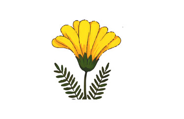 Vibrant Yellow Flower with Green Leaves and Hand Drawn Floral Illustration
