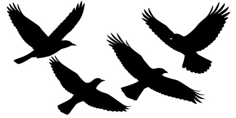 Obraz premium Silhouette depiction of four birds soaring gracefully in the sky above on transparent background
