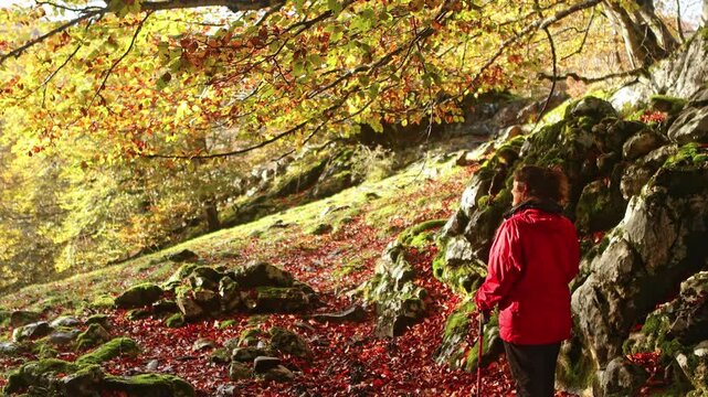 Autumn hike in Gorbea Natural Park's colorful landscape