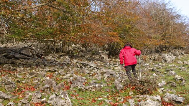 Autumn hike in Gorbea Natural Park&rsquo;s vibrant landscape