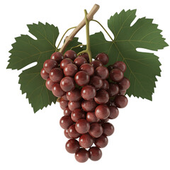Fototapeta premium A luscious bunch of red grapes hangs with vibrant green leaves, isolated on transparent background