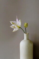Minimalist home decor vase with flower neutral beige brown colors.Fine art, aesthetic.