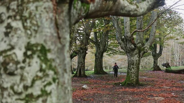 Woman hiking in Gorbea Natural Park, Basque Country