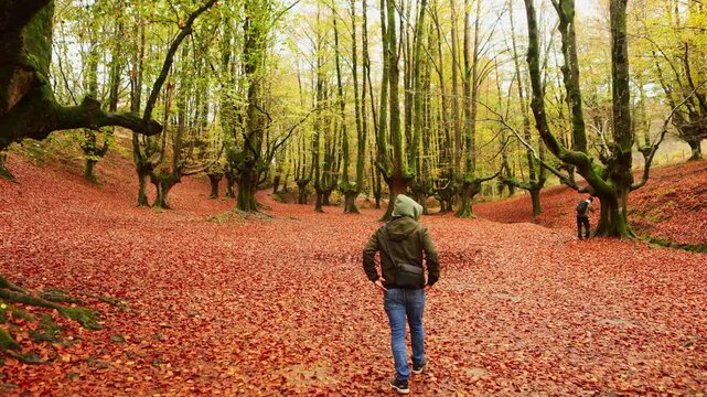 Autumn hike through Gorbea Natural Park landscape