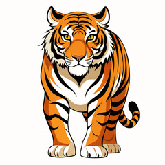Obraz premium Bengal tiger walking with intense gaze, on white background