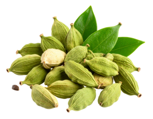Scattered Cardamom Seeds and Whole Pods Isolated on Transparent Background PNG for Organic Spice Branding