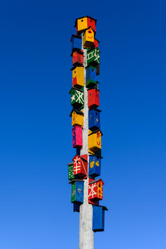 Very colorful bird boxes on a long pole