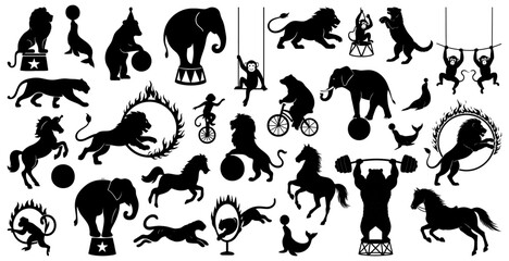 Fototapeta premium Circus animals silhouettes including lions, bears, elephants, seals, horses, and monkeys performing tricks. Perfect for carnival themes, event posters, and entertainment designs
