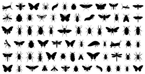 Insect silhouettes including butterflies, beetles, ants, spiders, caterpillars, grasshoppers, moths, flies, dragonflies, and bugs