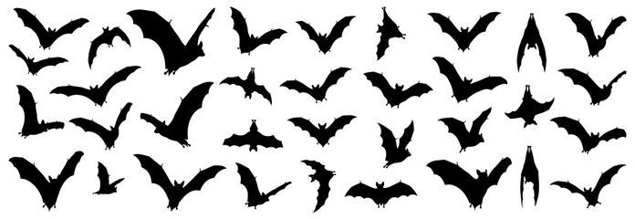Bat silhouette collection featuring flying bats in different wing positions and motions. Ideal for Halloween designs, nocturnal wildlife themes, or spooky decorative elements
