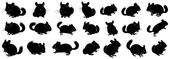 Chinchilla silhouettes collection with multiple poses of chinchillas sitting, running, and grooming. This set is suitable for pet-related designs, educational use, or wildlife projects
