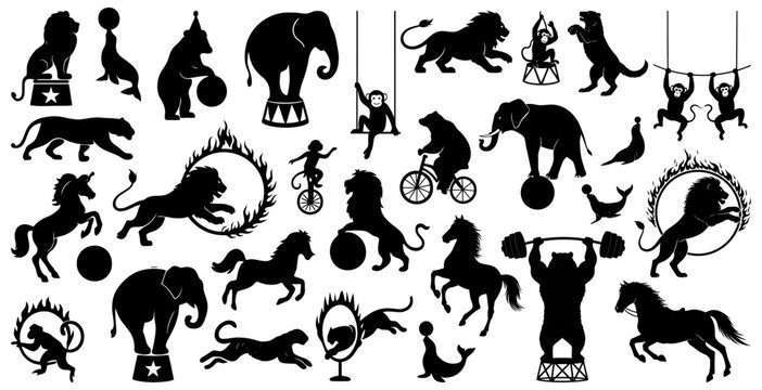 Circus animals silhouettes including lions, bears, elephants, seals, horses, and monkeys performing tricks. Perfect for carnival themes, event posters, and entertainment designs