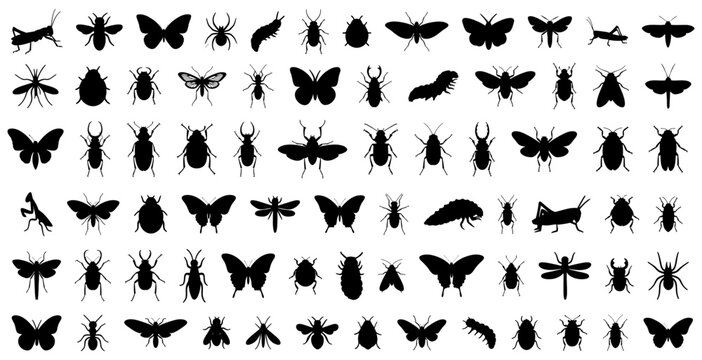 Insect silhouettes including butterflies, beetles, ants, spiders, caterpillars, grasshoppers, moths, flies, dragonflies, and bugs