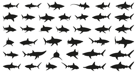 Shark silhouettes collection including hammerhead sharks, great white sharks, reef sharks, and different predator fish shapes in various swimming positions