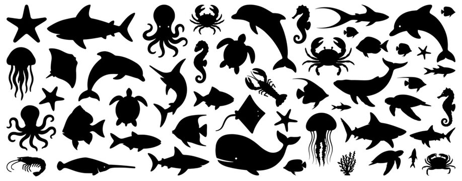 Sea animal silhouettes including dolphins, whales, turtles, sharks, jellyfish, crabs, octopus, starfish, and different fish species