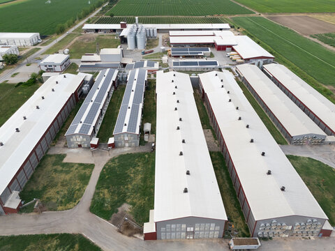 Modern poultry farm with solar panels. Factory using renewable energy. Aerial view