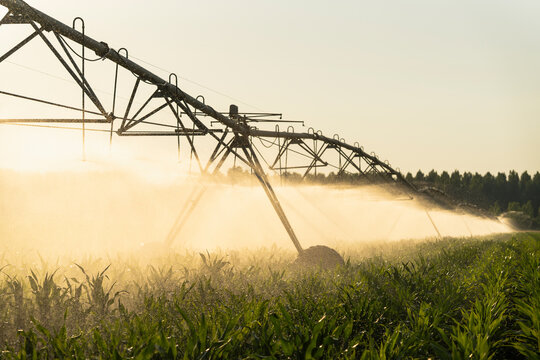 Agricultural watering pivot irrigation system on a corn field at sunset - Powered by Adobe