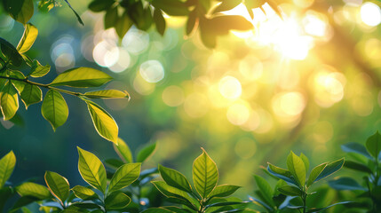 Sunlit Foliage: Vivid leaves catch the sunlight filtering through trees, creating a warm, vibrant botanical scene.