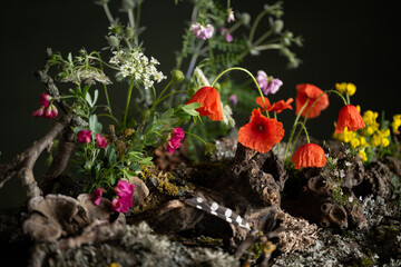 A captivating phytodesign composition. Ikebana. Wildflowers, red poppies, intertwined with lichens, tree branches. On a dark green background, this scene exudes a mystical and mysterious atmosphere.