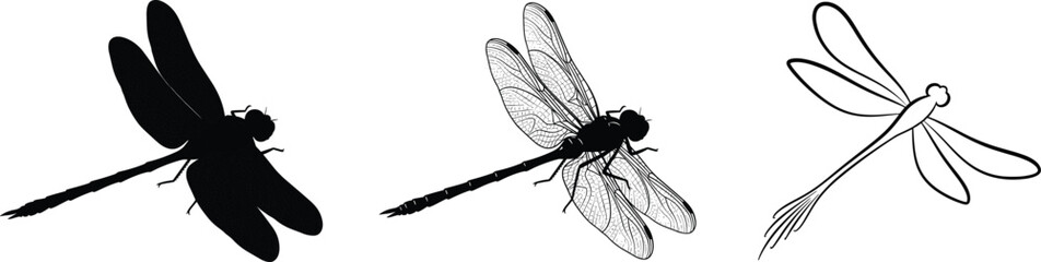 Cad drawing flat vector illustration of dragonfly insect silhouette, realistic detail sketch, and minimal line art, black and white style © Creative Minds
