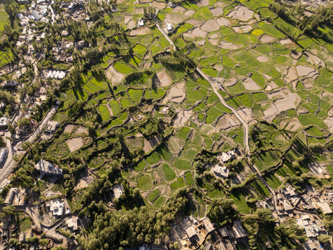 Aerial view of agricultural fields in Diskit, Nubra Valley