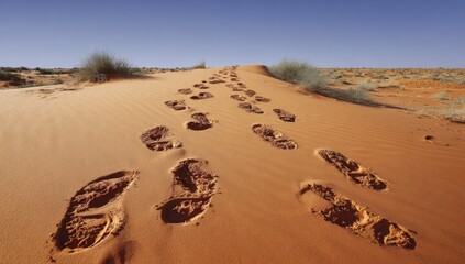 Footprints winding across a sandy dune.