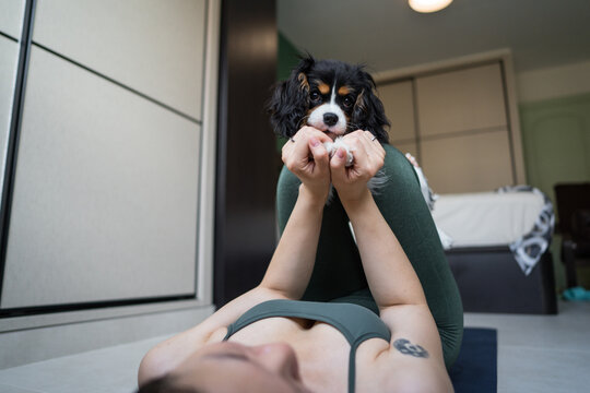 Young woman exercising at home with playful dog interruption