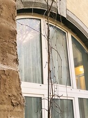 A plastic window built into an unrenovated house. As ugly as the weeds in front of the window.