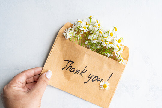 Daisies in envelope with, Thank you written on it, on a textured white background