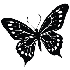 butterfly vector illustration