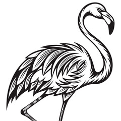 Illustration of a flamingo isolated on white background