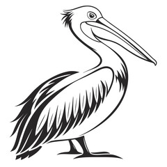 Vector art of a pelican stands tall, isolated on white background, showcasing its elegance