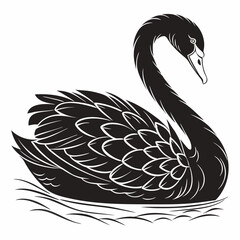 Vector art of a black swan floating on water is isolated on white background