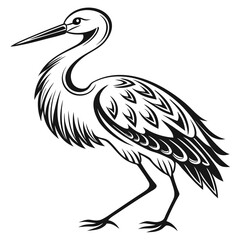 Obraz premium Vector art of a stork standing in grass is isolated on white background