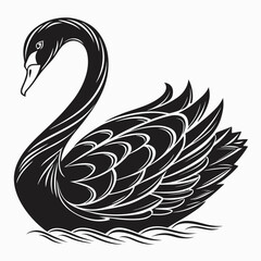 Vector art of a black swan floating on water is isolated on white background