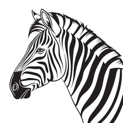 Vector art of a zebra portrait, isolated on white background, shows its unique stripes