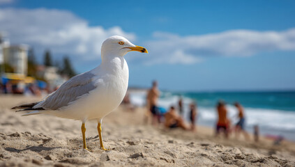 Obraz premium White seagull with yellow beak standing on sunny sandy beach with people in background