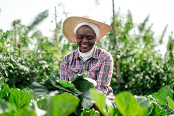 Happy Woman Farming in a Sunny Brazilian Agriculturist Environment